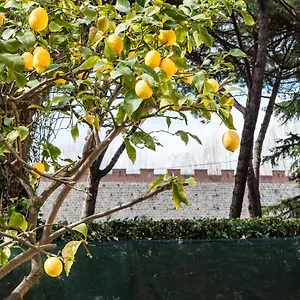 Lemon House Yellow